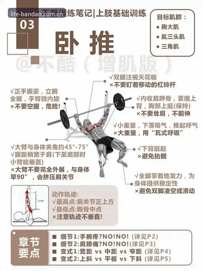 半岛体育最新资讯功能实用指南：深度解析你的专属运动生活改善工具