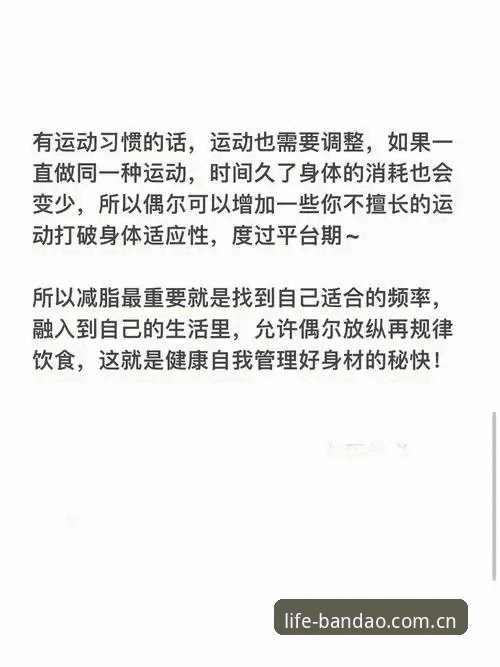 半岛体育官方下载 半岛体育官网深度解析:v3.0.2版本如何重塑中国体育资讯与运动生活体验